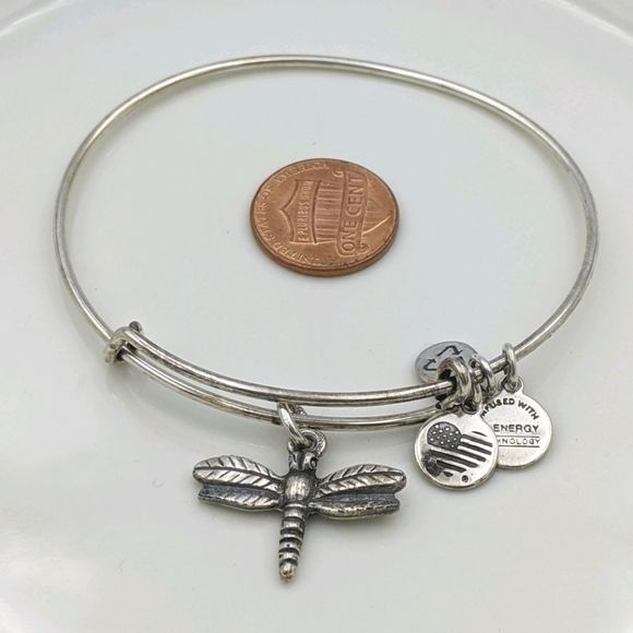 Alex and Ani Jewelry - Alex and Ani Rafaleian Silver Dragonfly Bracelet
